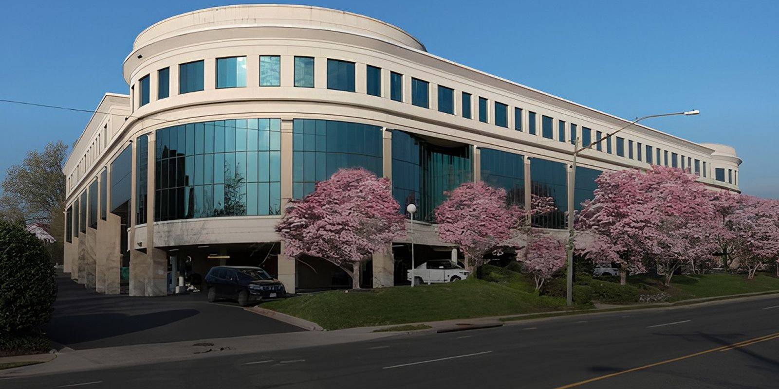 Modern building with cherry blossom trees.